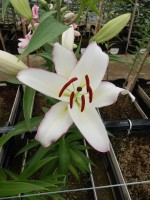 [4221 The Edge No02.JPG]